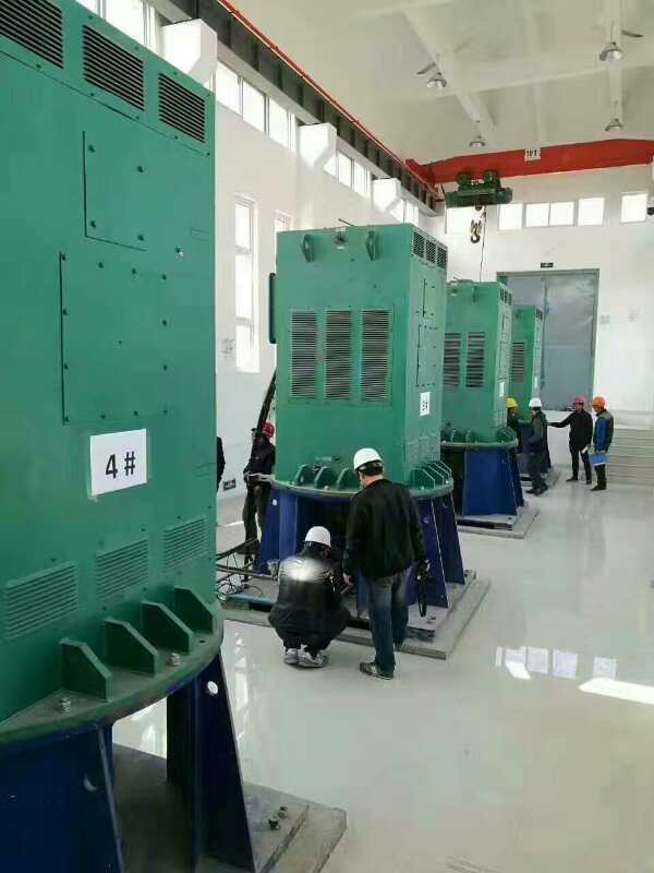 禹州某污水处理厂使用我厂的立式高压电机安装现场